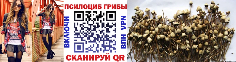 Галлюциногенные грибы Magic Shrooms  Городище 
